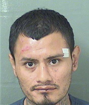 Rolando Sanchez, - Palm Beach County, FL 